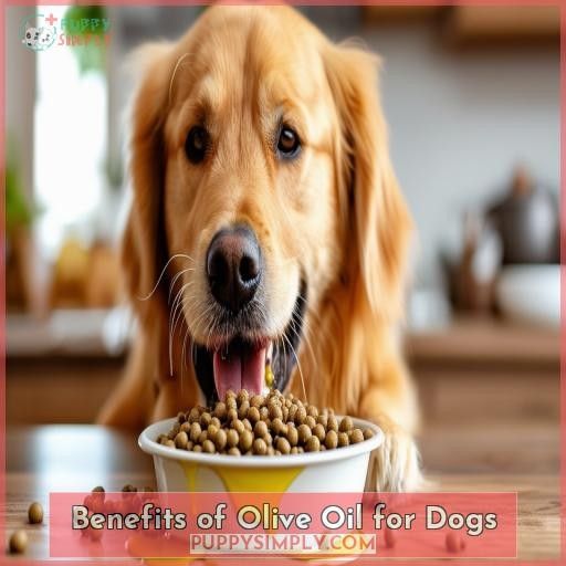 Benefits of Olive Oil for Dogs