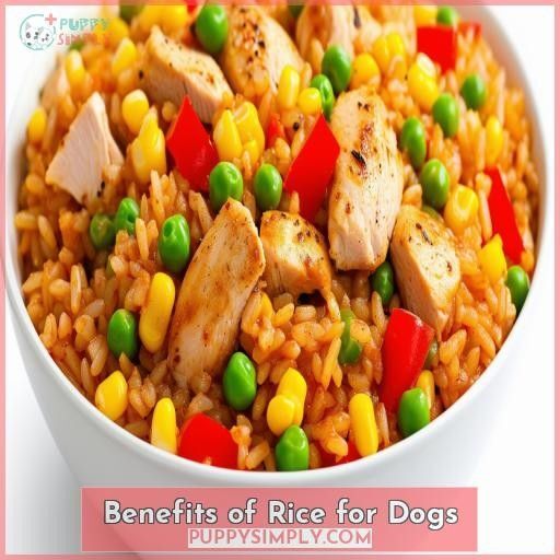 Benefits of Rice for Dogs Benefits of Rice for Dogs