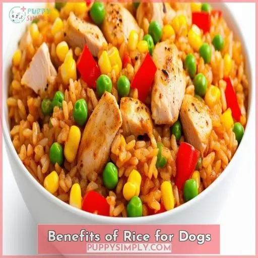 Benefits of Rice for Dogs