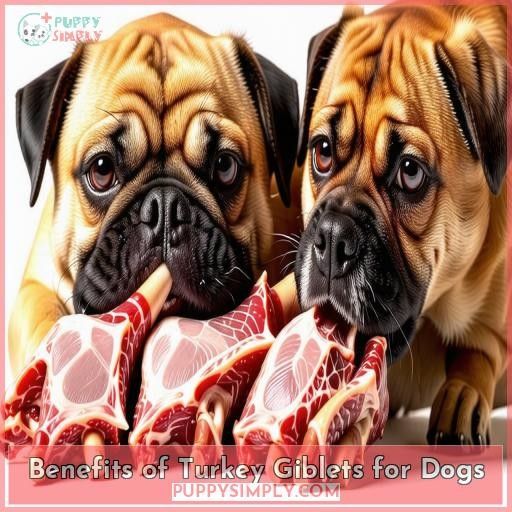 Benefits of Turkey Giblets for Dogs