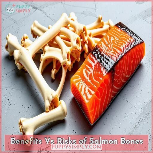 Benefits Vs Risks of Salmon Bones