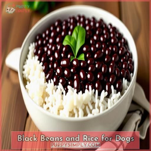 Black Beans and Rice for Dogs