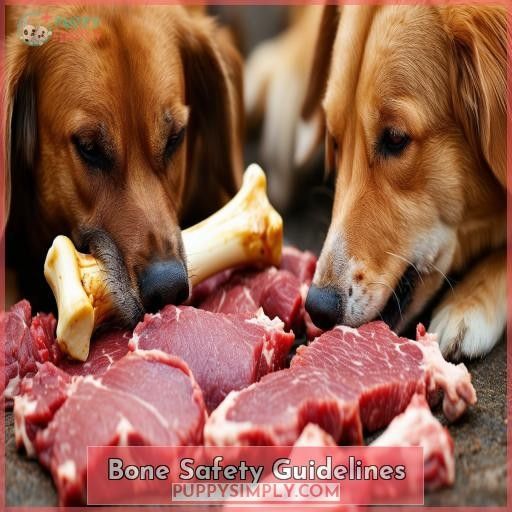 Bone Safety Guidelines