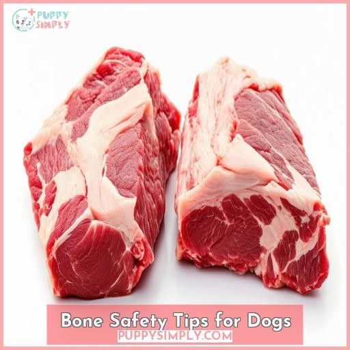 Bone Safety Tips for Dogs