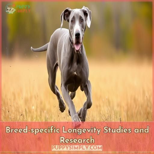 Breed-specific Longevity Studies and Research