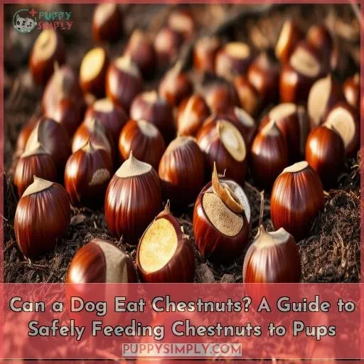 can a dog eat chestnuts