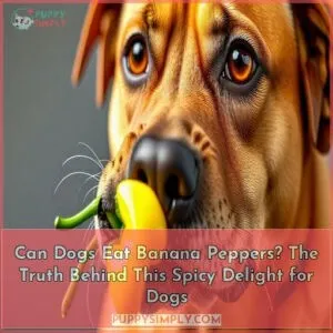 can dogs eat banana peppers