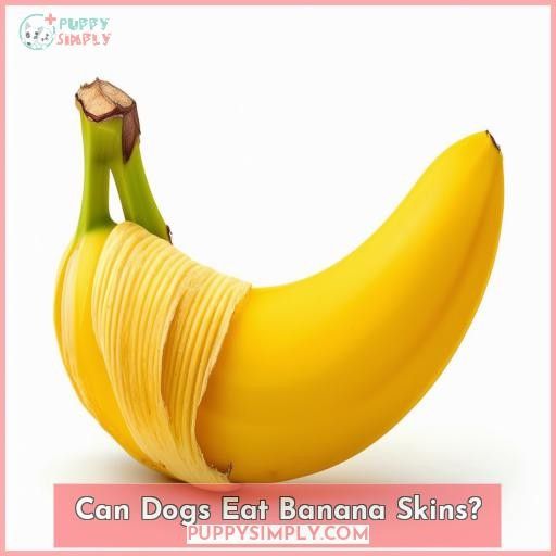 Can Dogs Eat Banana Skins