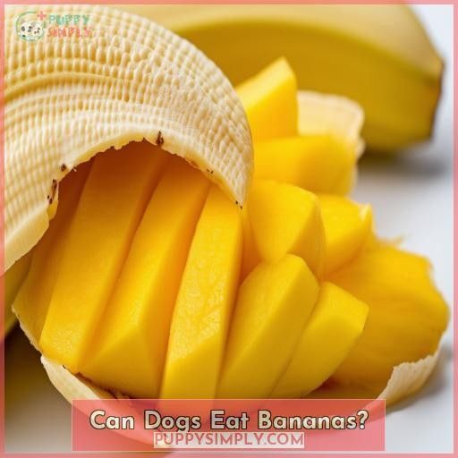 Can Dogs Eat Bananas Skin? A Nutritious Treat or Potential Hazard?