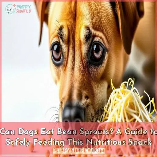 can dogs eat bean sprouts
