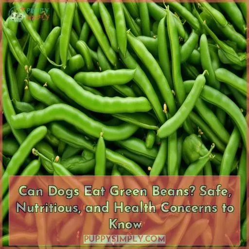 can dogs eat can green beans