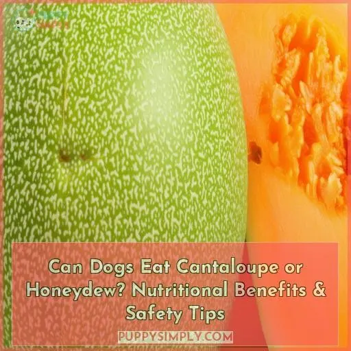 can dogs eat cantaloupe or honeydew