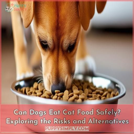 can dogs eat cat food safely