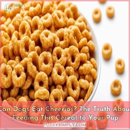 Can Dogs Eat Cheerios? The Truth About Feeding This Cereal to Your Pup