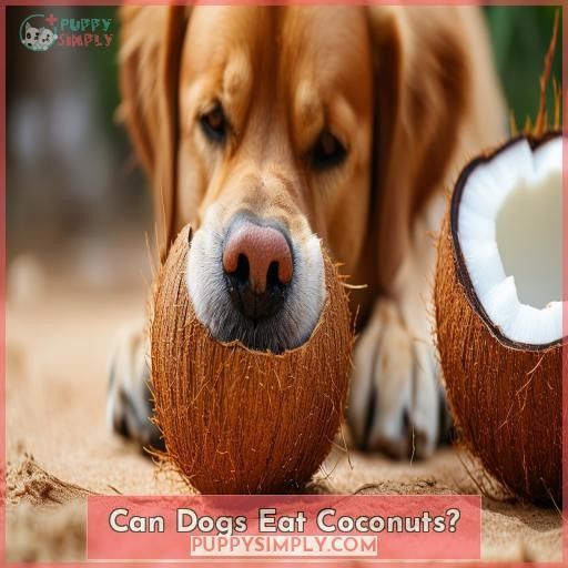 Can Dogs Eat Coconuts