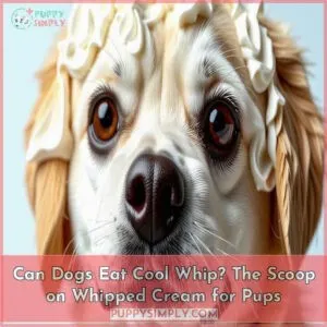 can dogs eat cool whip