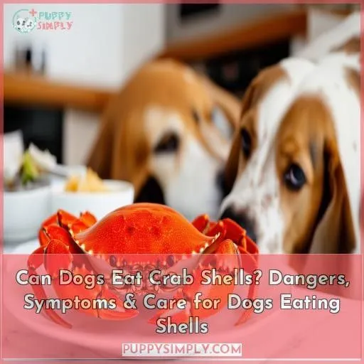 can dogs eat crab shells