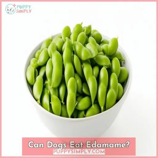 Can Dogs Eat Edamame