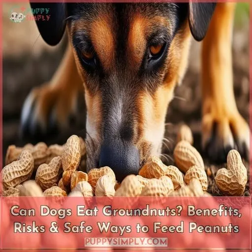 can dogs eat groundnuts