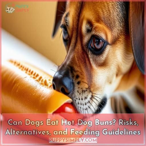 Can Dogs Eat Hot Dog Buns Risks Alternatives And Feeding Guidelines Can Dogs Eat Hot Dog Buns Risks Alternatives And Feeding Guidelines