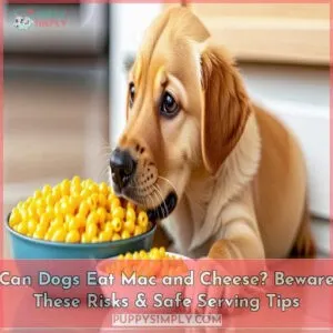 can dogs eat mac and cheese