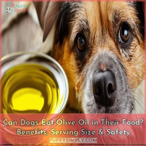 can dogs eat olive oil in their food