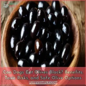can dogs eat olives black