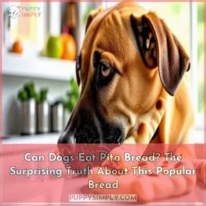 can dogs eat pita bread