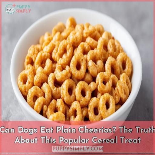 Can Dogs Eat Plain Cheerios? The Truth About This Popular Cereal Treat