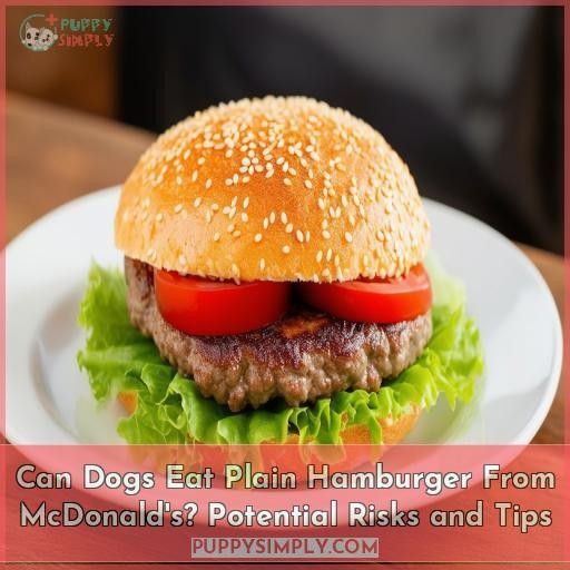 Can Dogs Eat Plain Hamburger From McDonald's? Potential Risks and Tips