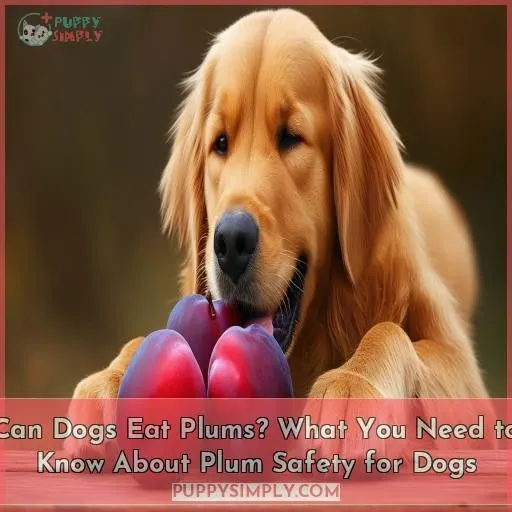 can dogs eat plums
