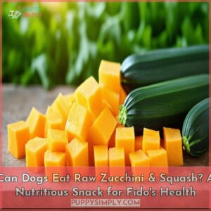 can dogs eat raw zucchini and squash