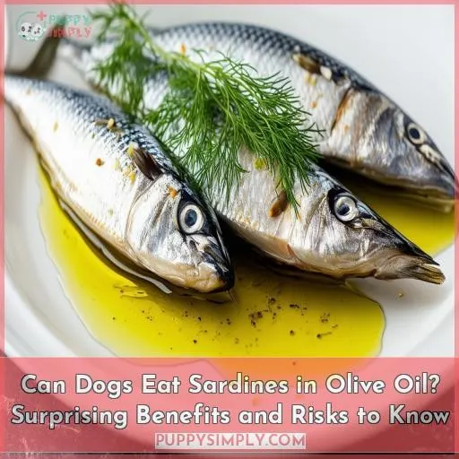 can dogs eat sardines in olive oil
