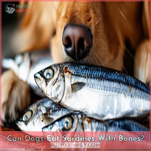 Can Dogs Eat Sardines With Bones