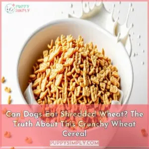 can dogs eat shredded wheat