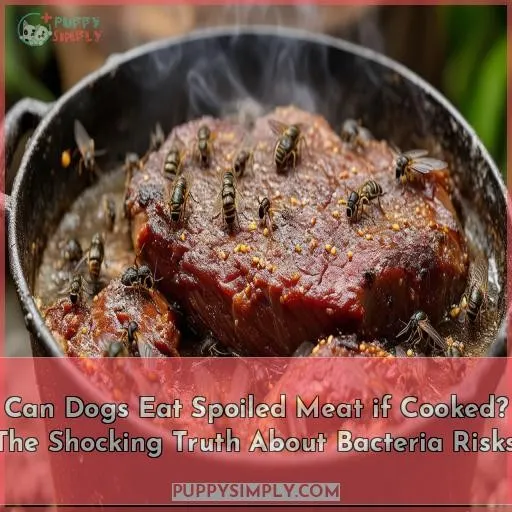 can dogs eat spoiled meat if cooked