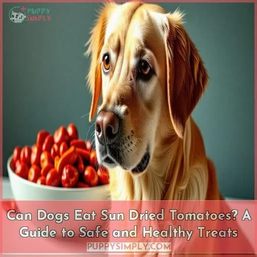 can dogs eat sun dried tomatoes