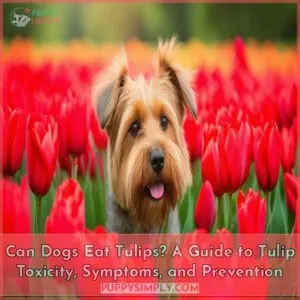 can dogs eat tulips