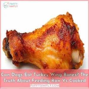 can dogs eat turkey wing bones