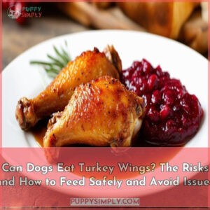 can dogs eat turkey wings