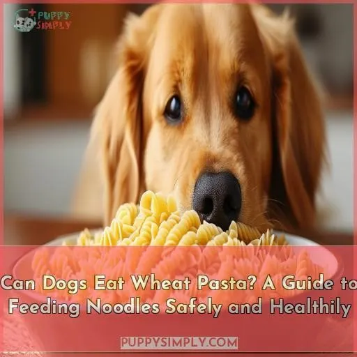 can dogs eat wheat pasta
