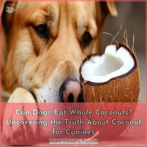 can dogs eat whole coconuts