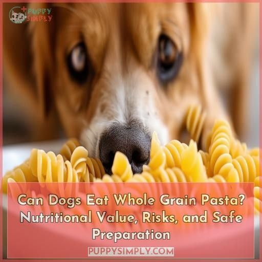 Can Dogs Eat Whole Grain Pasta? Nutritional Value, Risks, and Safe