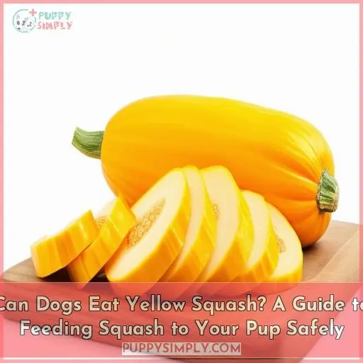can dogs eat yellow squash