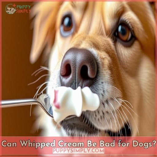 Can Whipped Cream Be Bad for Dogs