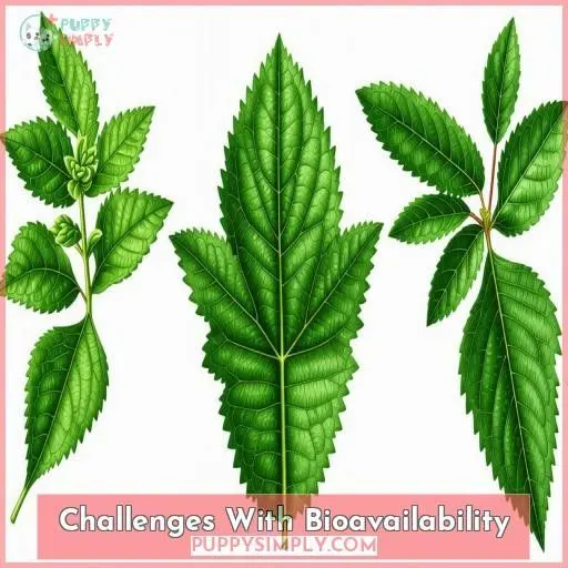 Challenges With Bioavailability
