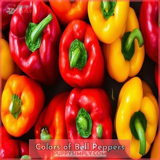 Colors of Bell Peppers