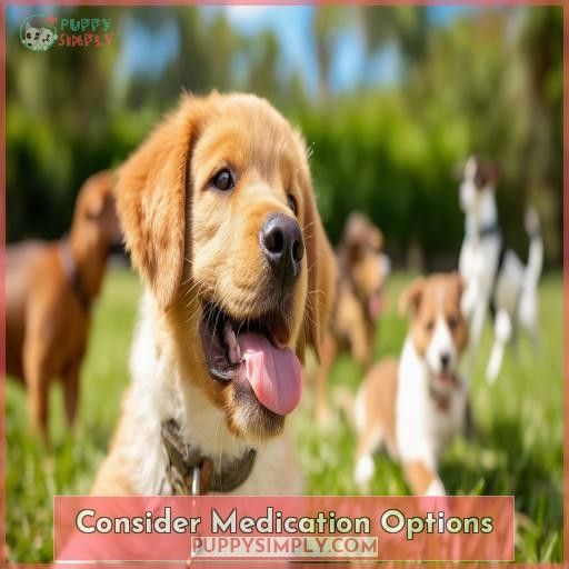 Consider Medication Options