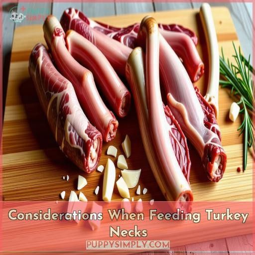 Considerations When Feeding Turkey Necks