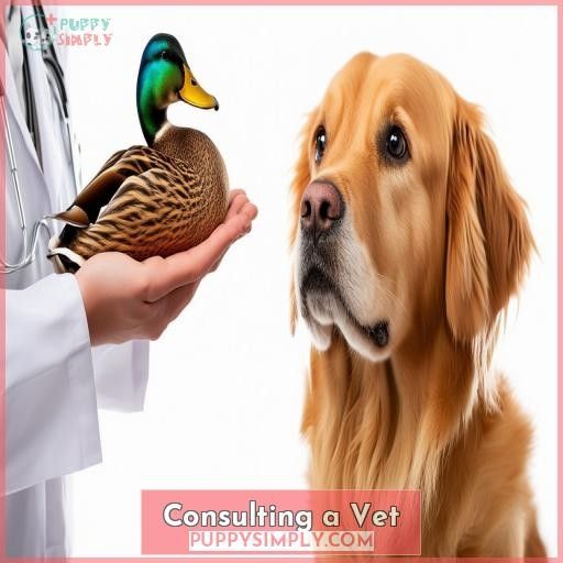 Consulting a Vet